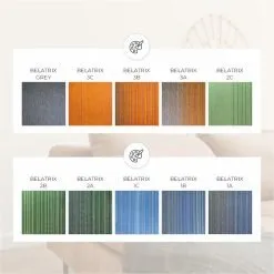 Alternative view of Belatrix