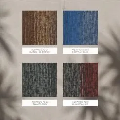 Alternative view of Aquarius