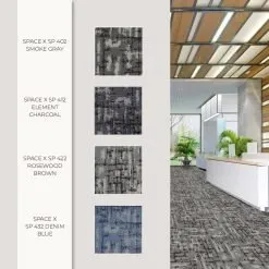 Alternative view of Space X