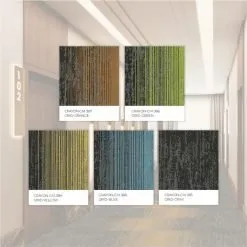 Alternative view of Crayon