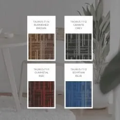 Alternative view of Taurus