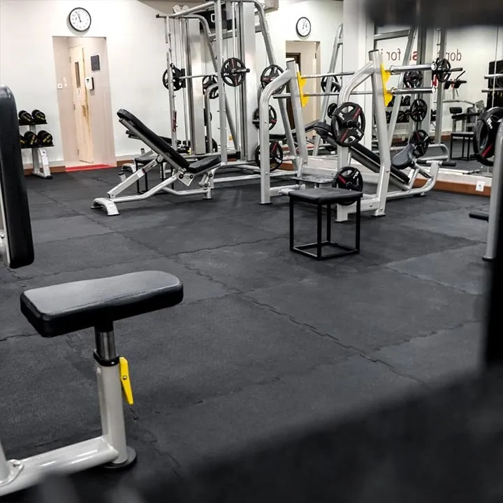 Indian Gym Mat