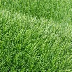 Rumput Sintetis 3 cm