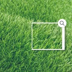 Alternative view of Rumput Sintetis 3 cm