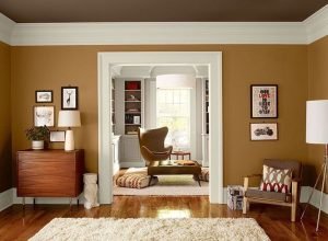 Warna Cat Rumah Coklat Elegan