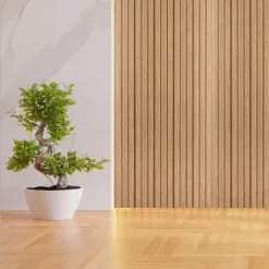 Alternative view of Gaia Aida