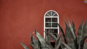 warna cat tembok luar