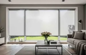 Roller Blind Sharp Point vs Onna